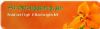 aromessens.se